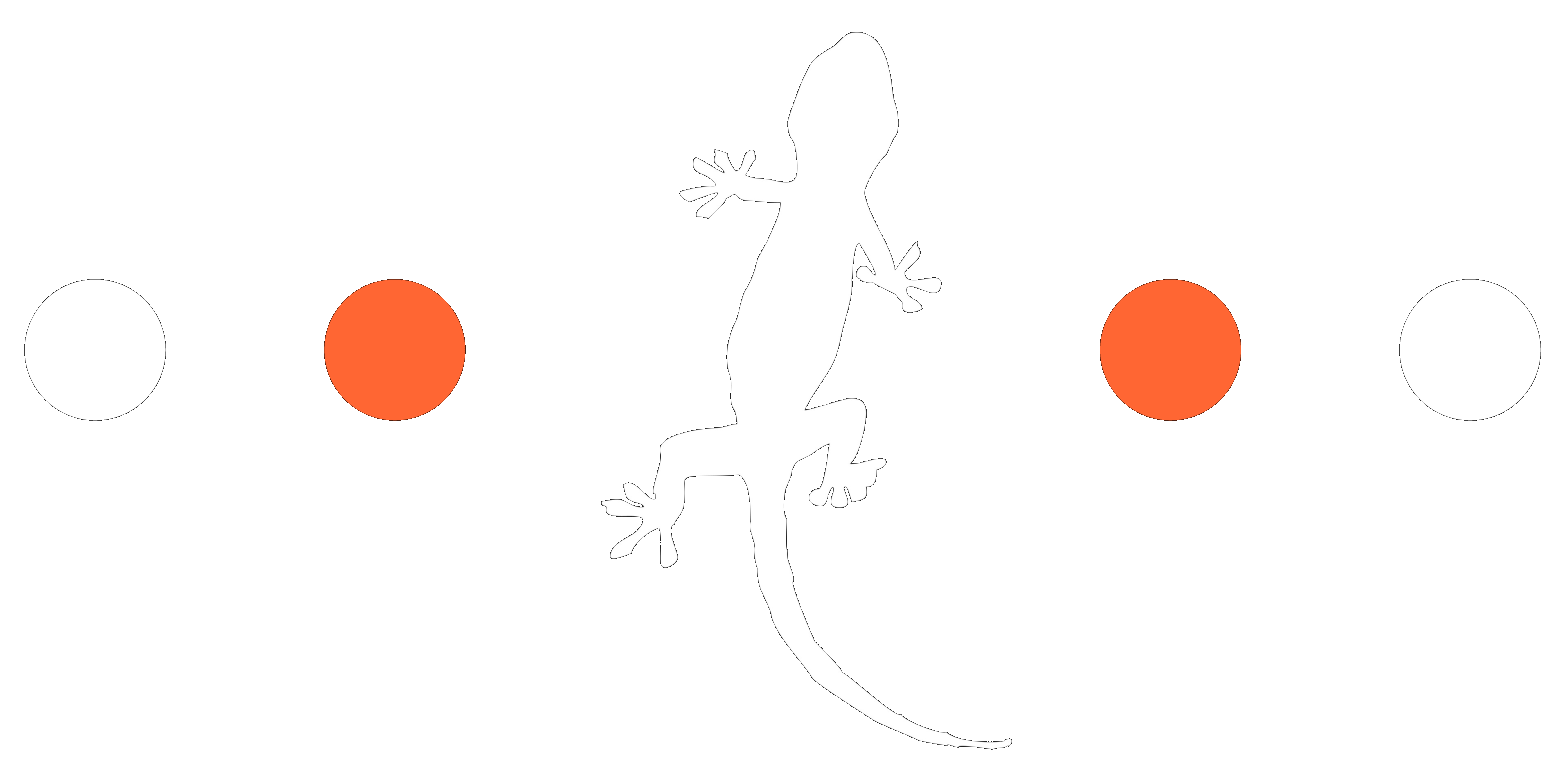 gecko